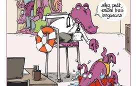 affiche certificats absurdes