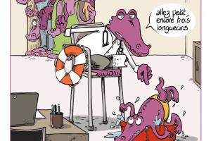 affiche certificats absurdes